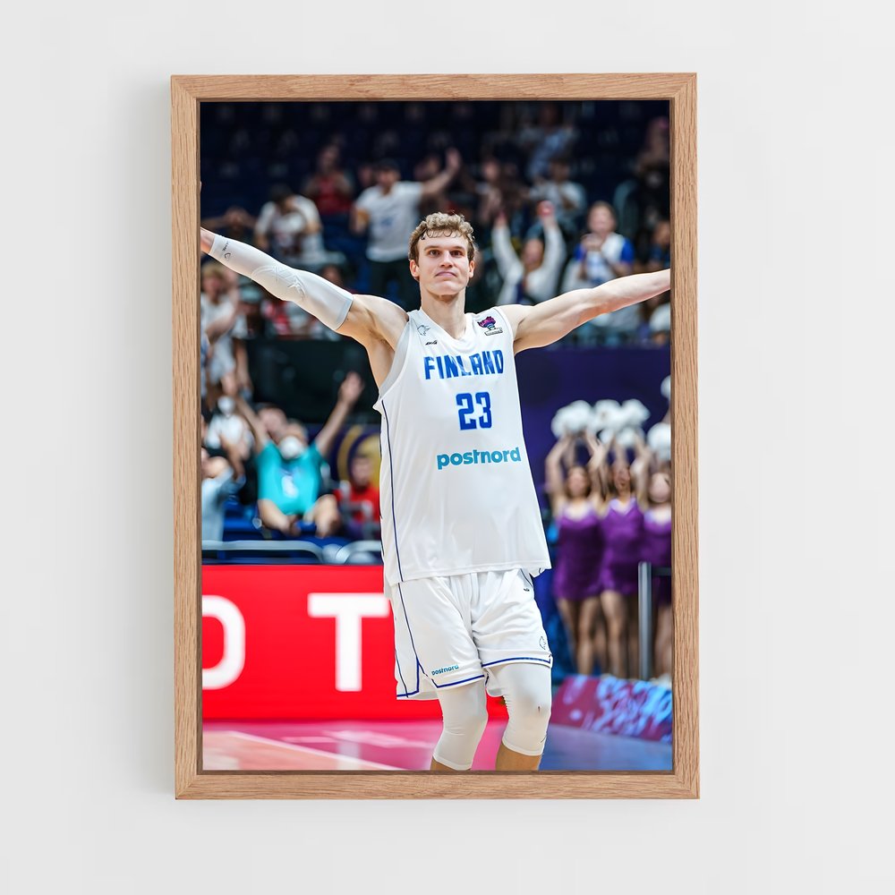 Poster Les Gardiens du Ciel – affiche Basketball (vue 4)